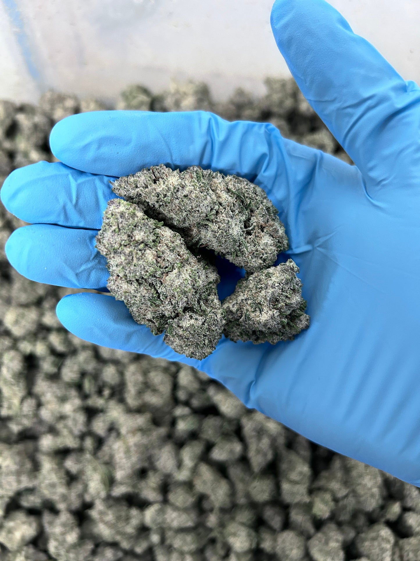 Frosted Pineapple Express (Per gram)