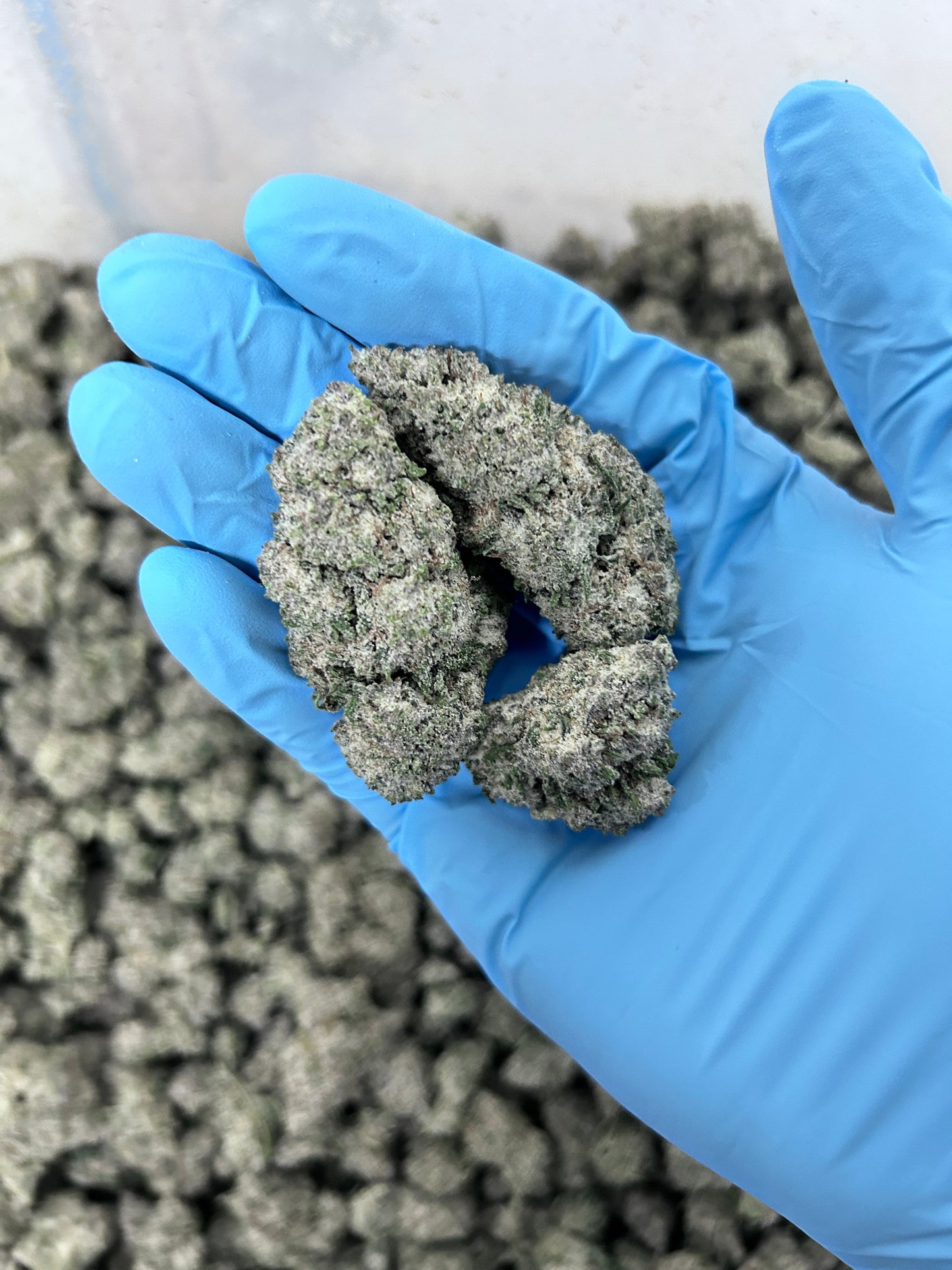 Frosted Pineapple Express (Bulk)